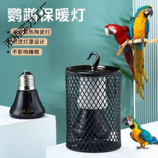 �W�^�ӟ�Ӝ�ȡů���B�\���؟�}���J���u���P��ҧ�o��l���մɟ�