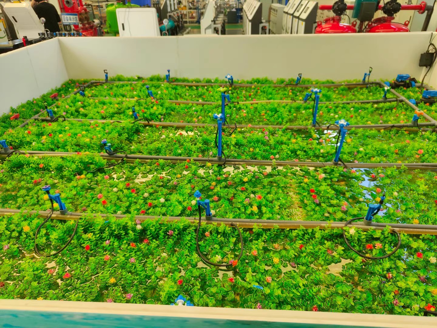 O1CN015WdUBJ1xjR9bI1DWJ_!!2212