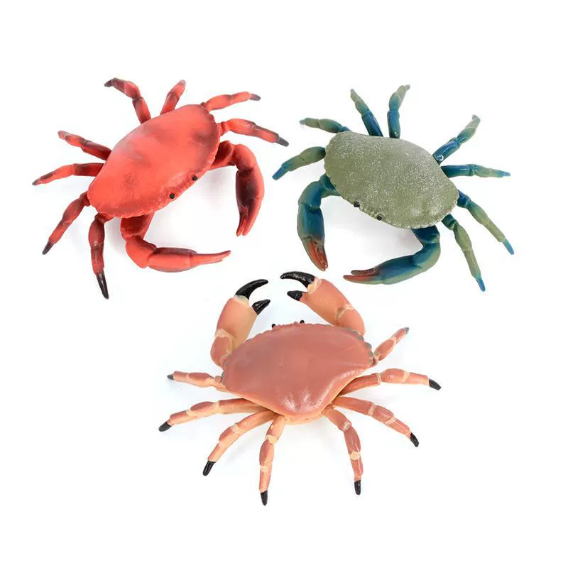 Реалистичная морская животная модель, обучающая игрушка, морское дно