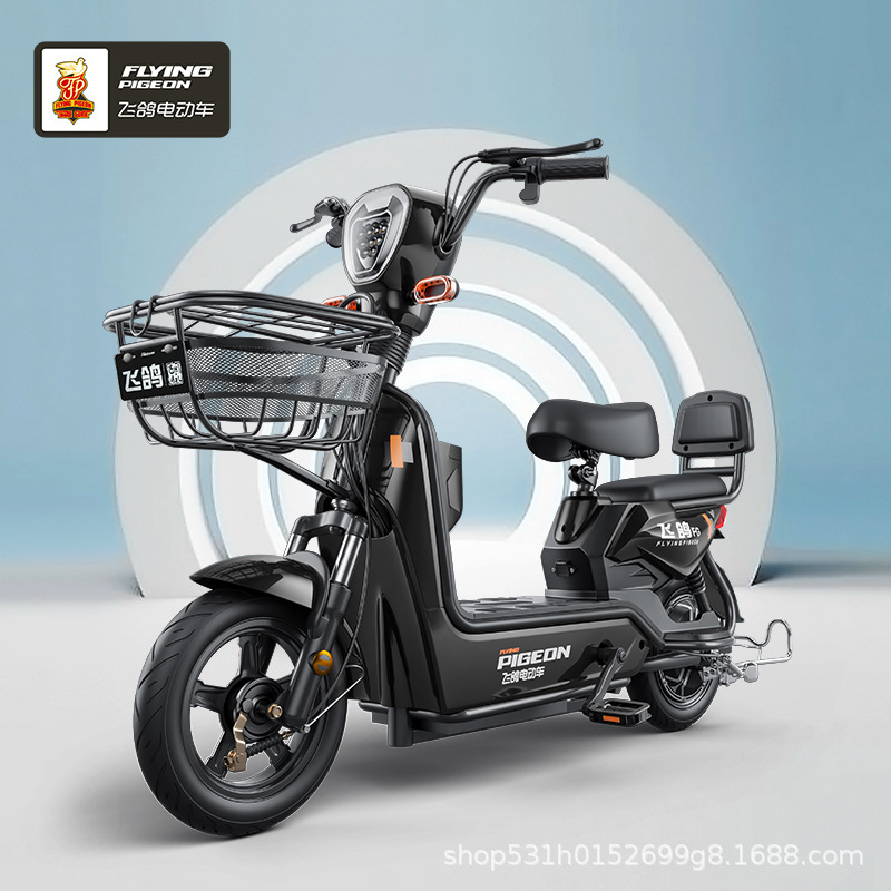 El nuevo vehículo eléctrico estándar nacional Golden Eagle 48V nuevo vehículo eléctrico estándar nacional de transporte diario vehículo eléctrico de comercio exterior transfronterizo vehículo eléctrico image 3