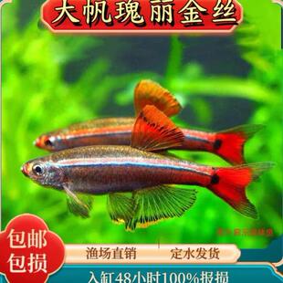 ��녽�z�~�󷫹�����z�����S����z�����~�tβ�����~��ˮ�~�^�p