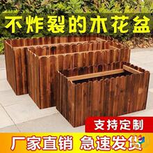 ����ľ�����ش��L���λ����̨�N����̼����ľ�řڷNֲ����⻨��