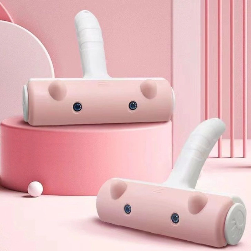 Cepillo de cerdas Cepillo de eliminación de cerdas artefacto de succión de cerdas Limpiador de pelo de perro Alfombra Sofá cama Pegasador de pelo para mascotas