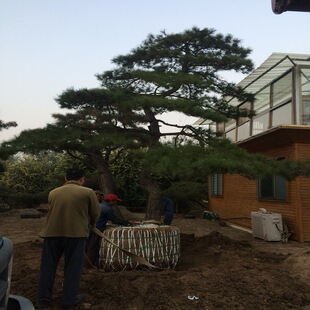 �@�־G���쾰�c�Y�� ���;��� �������� ���ͺ��� ����Ҏ���Rȫ