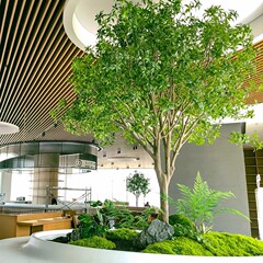 ハイエンドの馬酔木は植物のショーウインドーをシミュレーションして室内の装飾木を作ります。