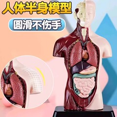 子供の教育用 DIY 組み立て人体構造モデル手作り材料パッケージフルセットの自作おもちゃギフト