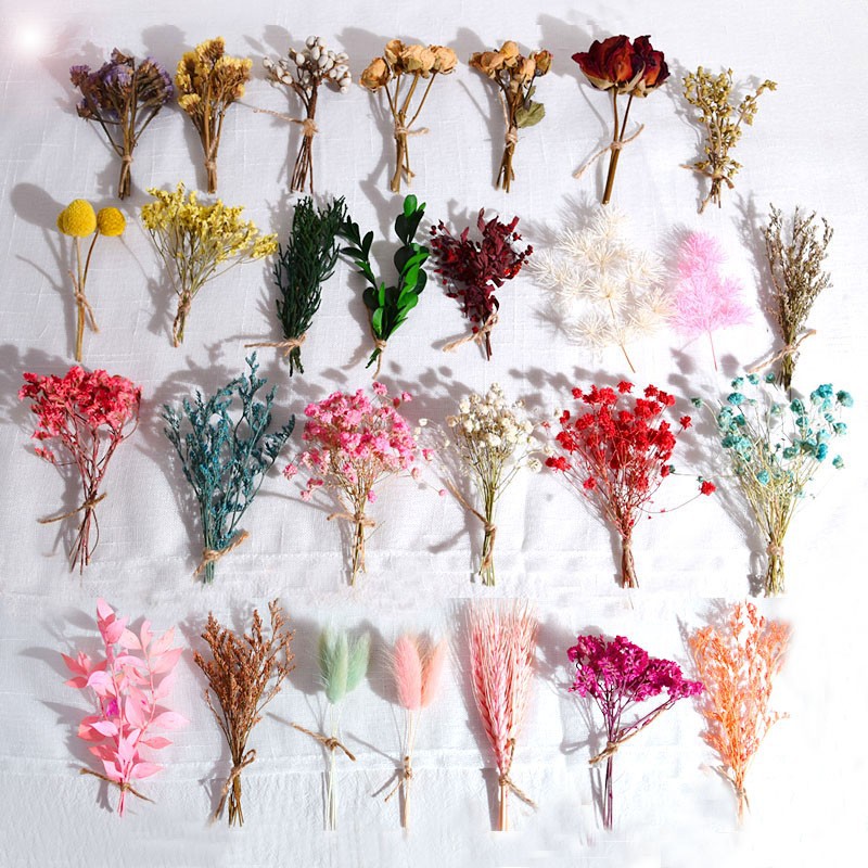 Natural Aromatherapy Everlasting Dried Flower Kindergarten Activity Handbook Christmas DIY Handmade Material Decoration Mini Bouquet