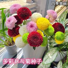 ߲ƹҾջNǹշNļ׷NLǹɫԻN