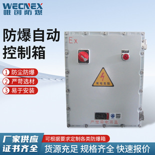 Explosion-proof automatic control box explosion-proof electric control box touch screen display temperature control instrument quick opening explosion-proof power distribution wiring