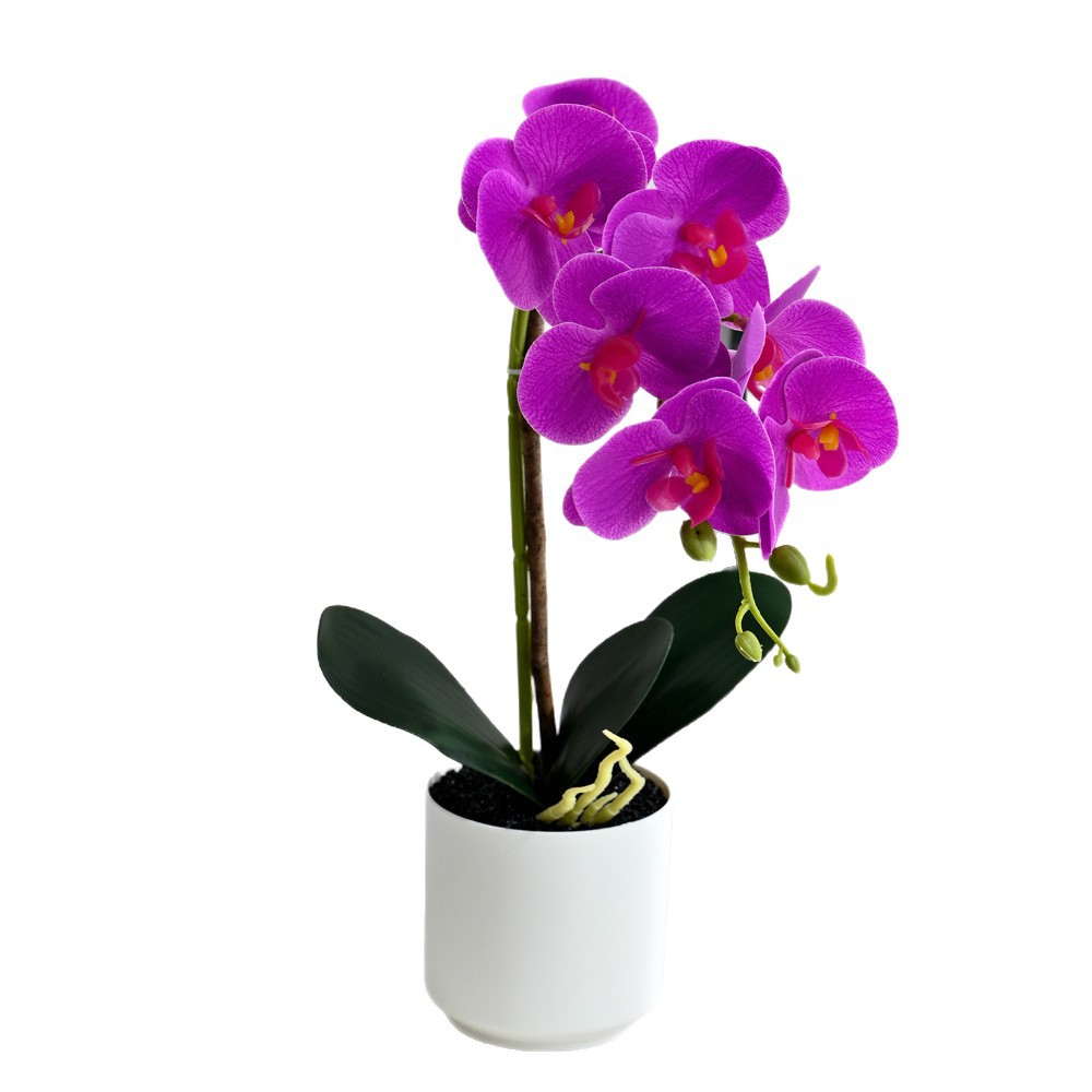 7 flores orquídeas mariposa bonsai creativo decoración del hogar fotografía flores artificiales flores de boda pequeños adornos fabricantes