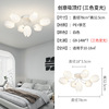 Creative ceiling light for living room, ceiling lamp for bedroom, french style, internet celebrity, light luxury style