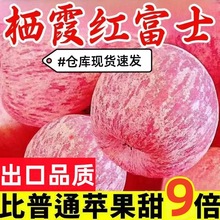 ���ڟ�̨��ϼ�t��ʿ�O�������֭���r�O������ˮ��������]���l