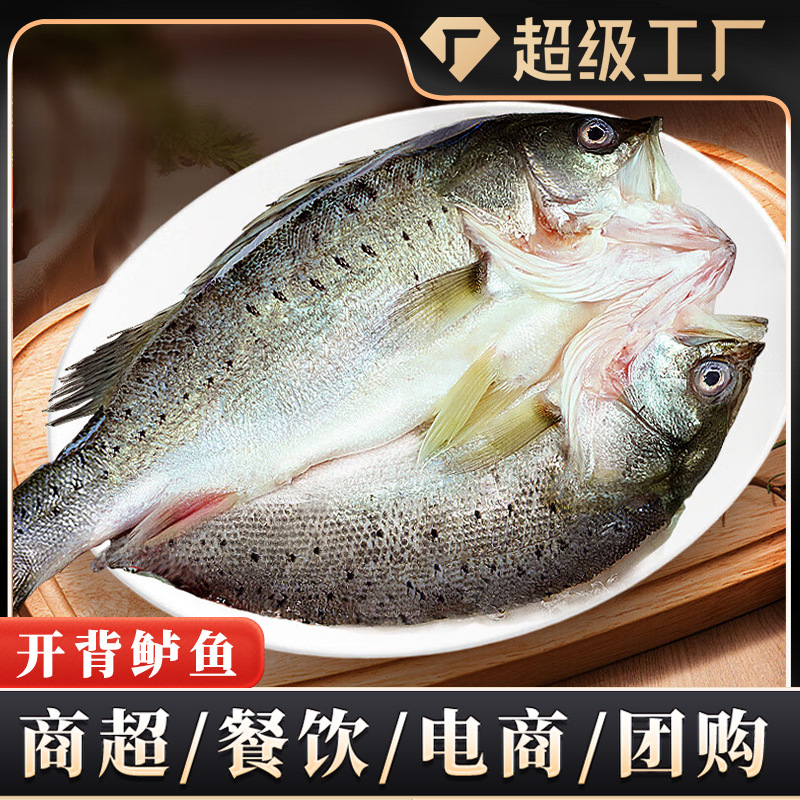开背鲈鱼七星鲈鱼去鳃去鳞去内脏净鱼鲜冻海鲈鱼水产商用批发代发