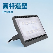 飞利浦BVP171 30W飞利浦投光灯飞利浦泛光灯防水广告牌灯探照灯