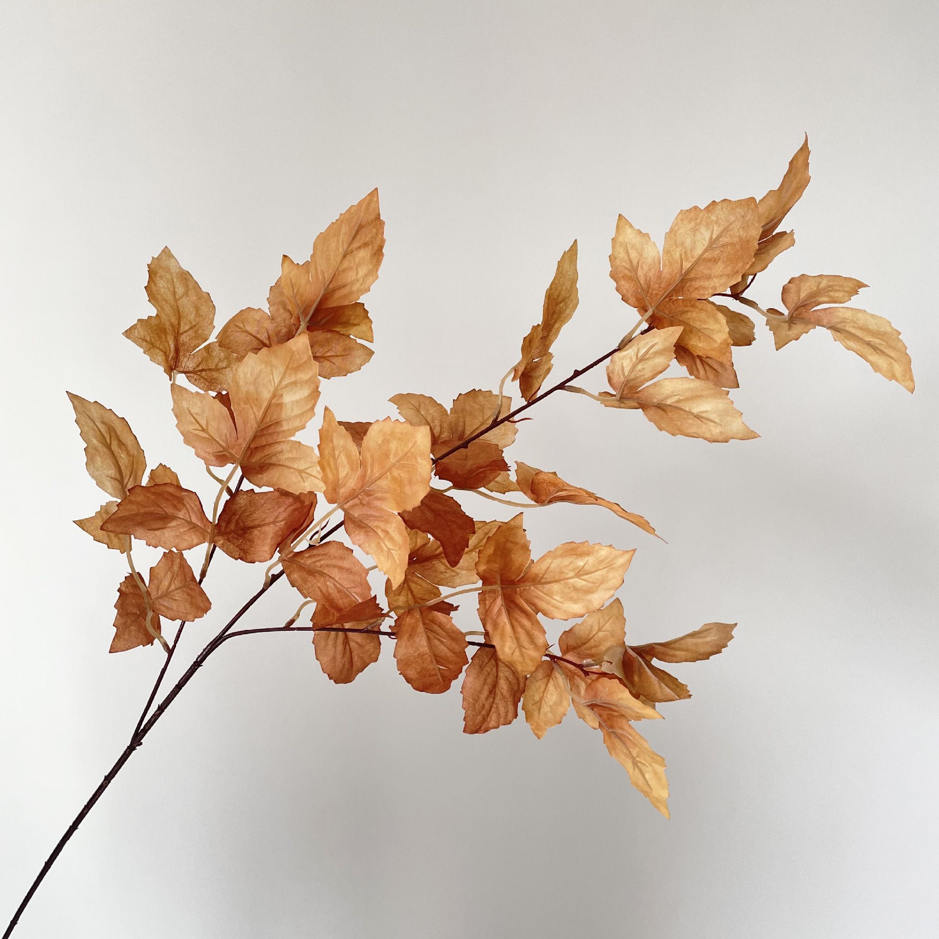 블루버드 리프 커피