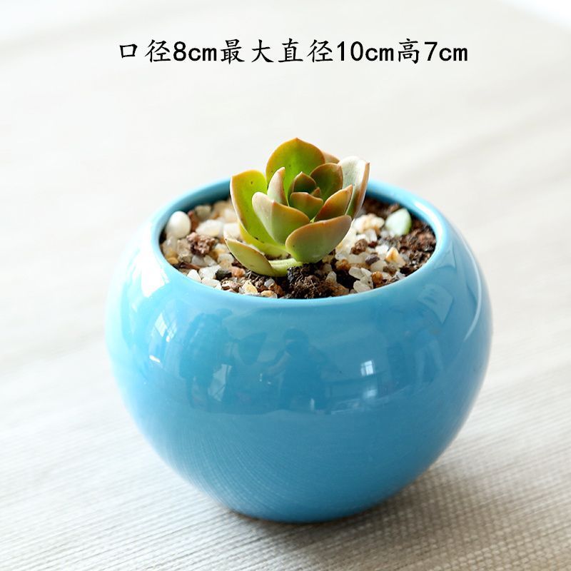 【6个6色】多肉花盆陶瓷创意简约个性小清新流釉阳台多肉花盆|undefined