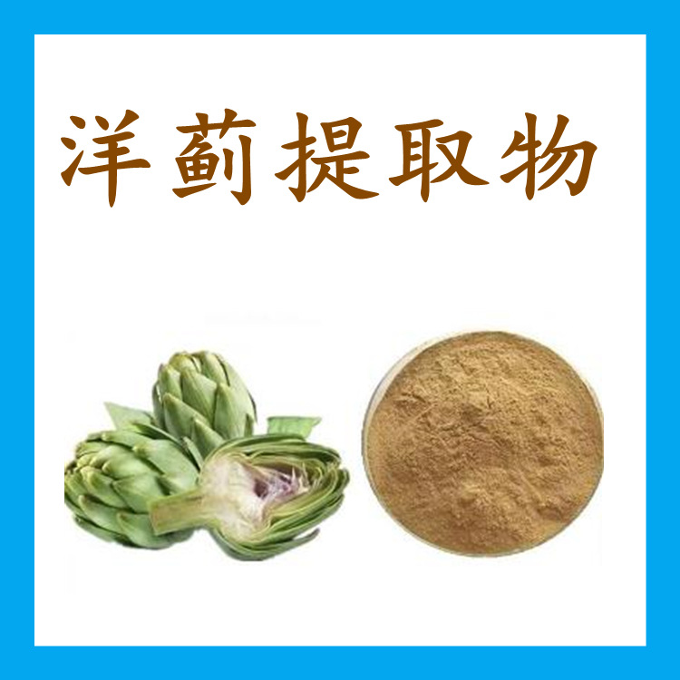 洋蓟提取物 食品原料 现货包邮 天然提取 洋蓟粉 可试样 水提工艺