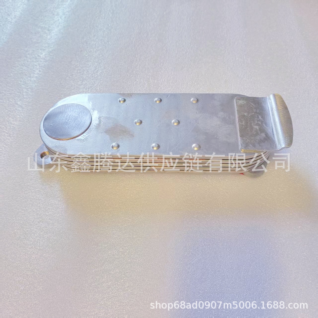Factory Direct Supply of Engine Oil Cooler for Japanese Cars, Auto Parts Ok55114701 with 5-Layer Water Deflector