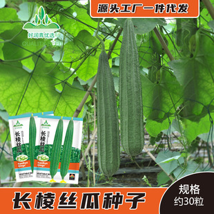 �L��z�ϷN�Ӱ˽ǰ����L�z�ϷN����Ǵ������㴺���ļ�ͥԺ�˷N��