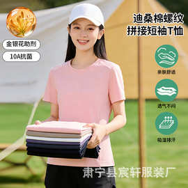女款修身短袖迪桑棉螺纹拼接T恤女士纯色t恤上衣10A抗菌百搭打底