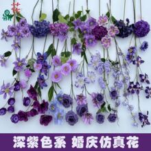 26年深紫色系花材 户外草坪婚礼布景绢花 样板间陈列装饰摆件假花