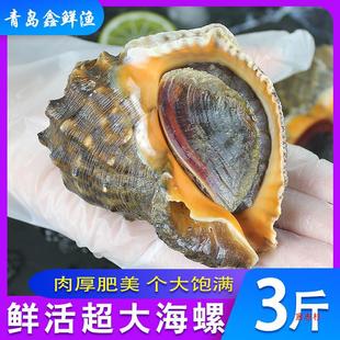 ���u�����r������r������r���rˮ�a�����r��ݻ���ؐ�