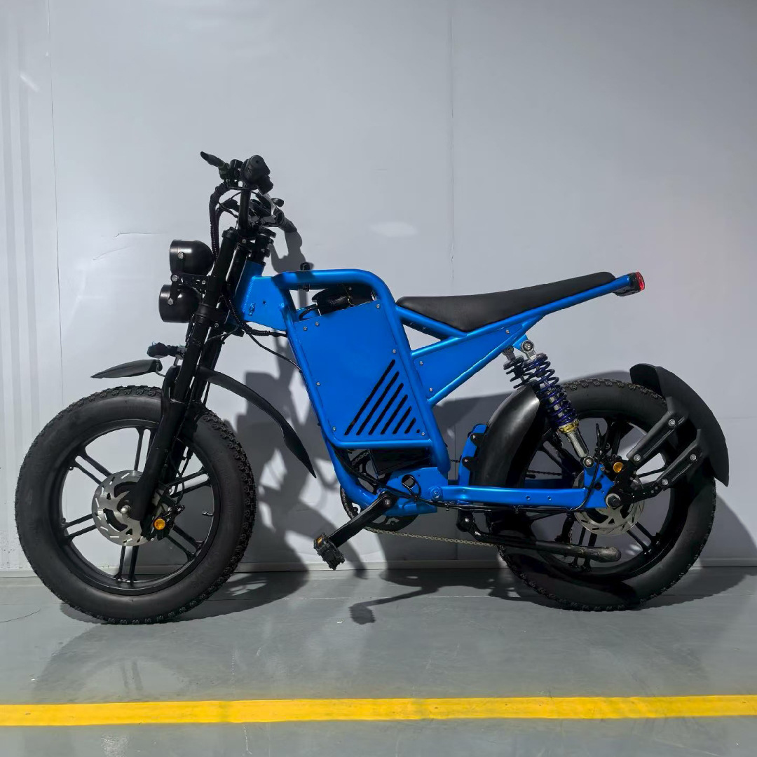K15 Electric Assist Bicycle Dual Motor EBiK Electric Assist Bike Dual Shock Absorber Dual Drive Motor Electric Vehicle