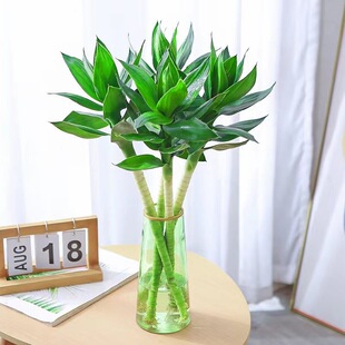 ������ˮ���Ĳ���Gֲ����ֲ���҃Ȼ����F��ˮ�B�_�\�D�\�񎧸�