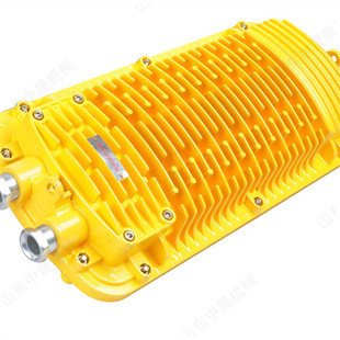 DGS9/127L�V�ø�����LED��ɢ���ژ�־�� ����������� ��ȫָʾ��