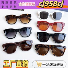 G���¿�ʱ�и���̫���� è�۴��ī�� ��ʽ�ٴ�̫���۾�GG1830SK