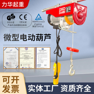 Wholesale PA200 mini electric hoist PA300 outdoor lifting hoist 12 m mini electric hoist