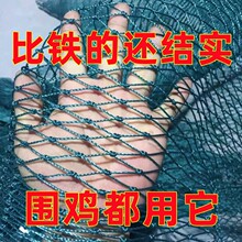养殖网拦鸡网户外用养鸡网围网养殖网菜园围网防鸡网养鸡围栏网