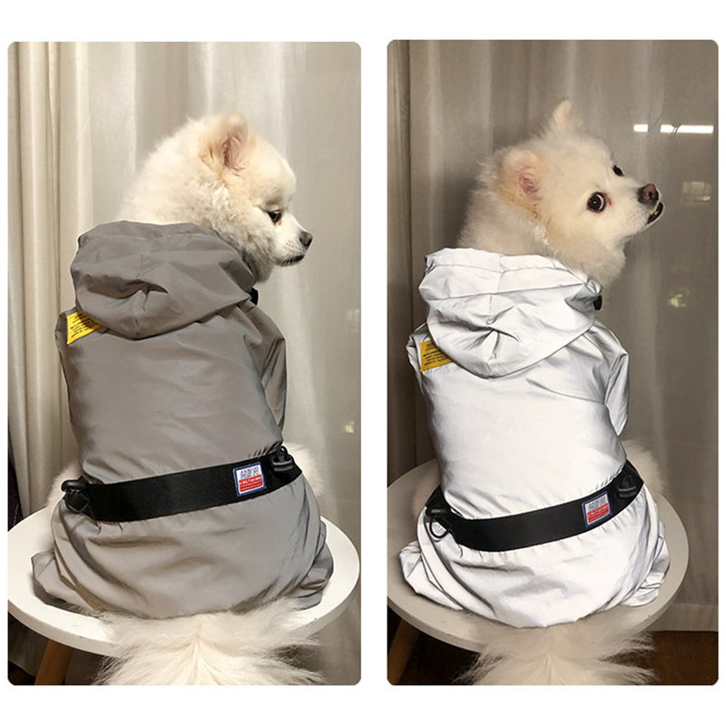 Cross -border pet new dogs