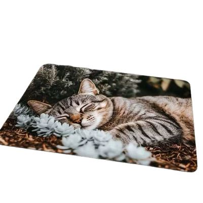 Avtomobil döşəmə paspasları Cross-border cute pet cat decorative floor