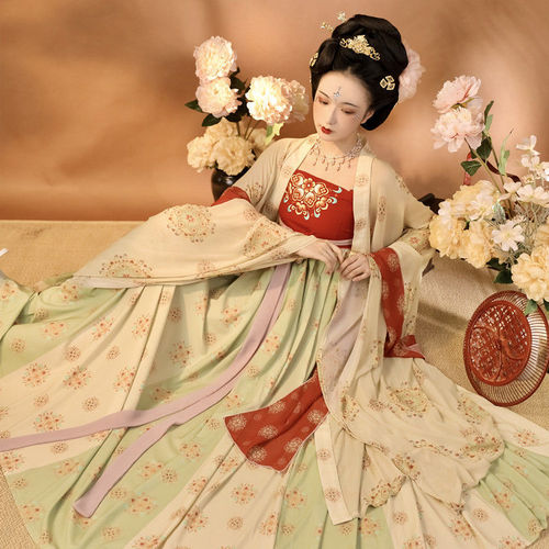  Hanfu Tang Dynasty Hanfu Fairy dress for women embroidery myrobalan skirt big Chinese wind hanfu sleeve unlined upper garment