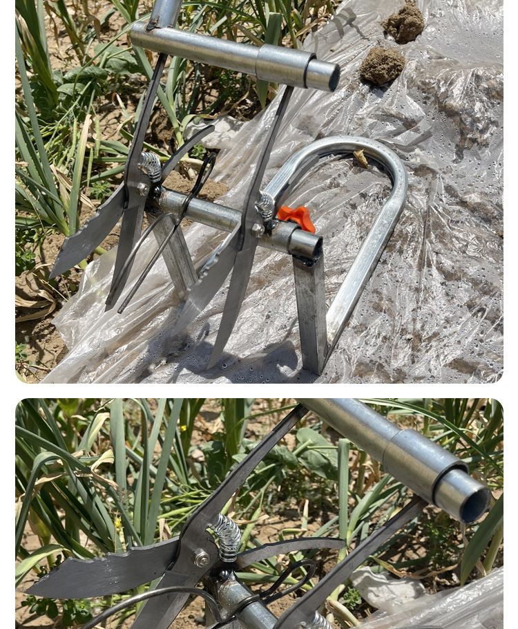 O1CN01OBp2sL1MMrZ1ndRb7_!!4070