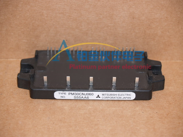 PM30CNJ060 PM20CTM060 PM15CNJ060  PM30CNJ060 PM20CNJ060 询价