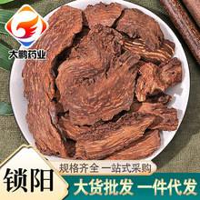 �i���ș���i�Ƭ���i�Ƭ������ɐ���ݾƴ�؛����һ�����l�iꖂ�