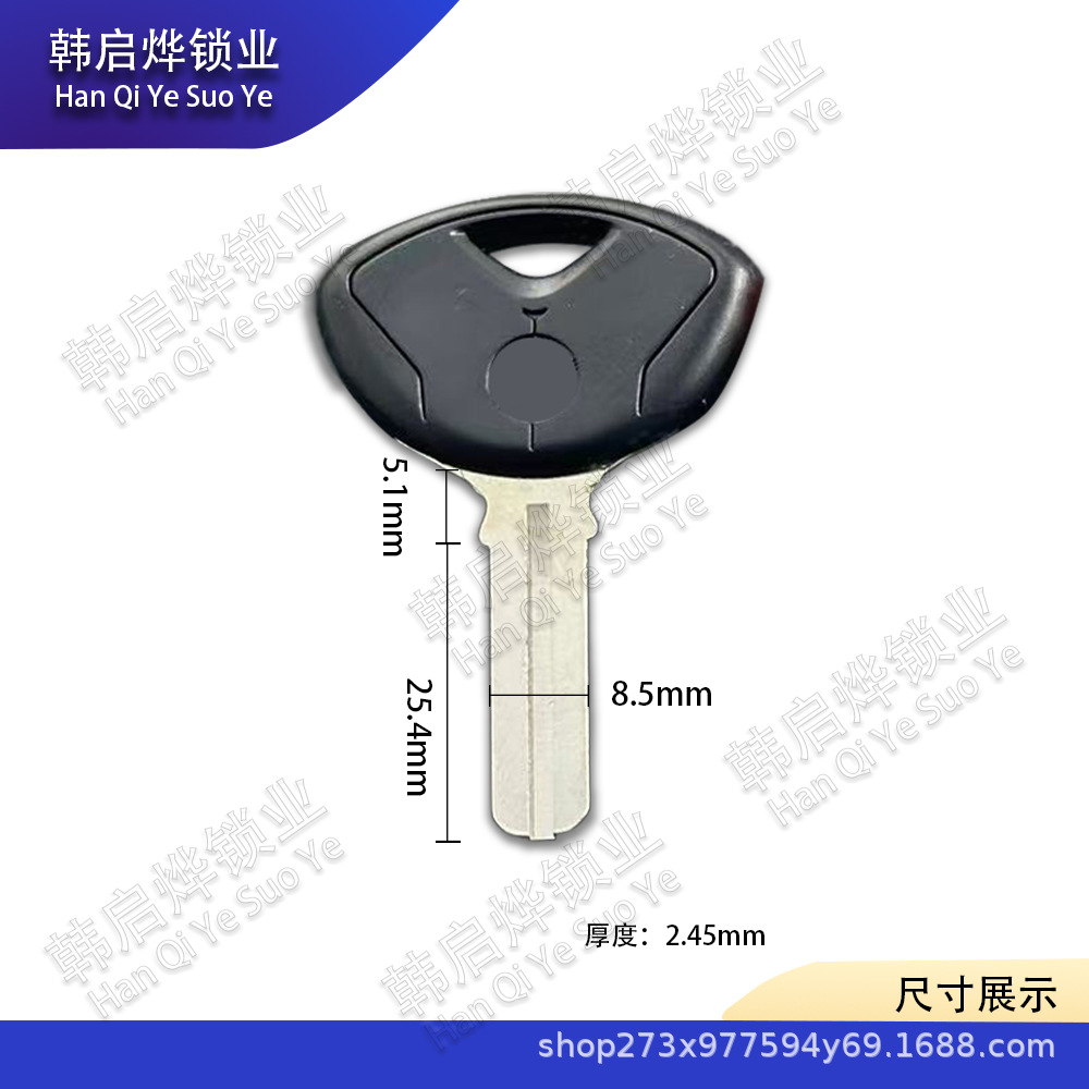 Suitable for Bmw K1200 K1300 S1000R R1200R Hp4 Chip Motorcycle Key Embryo
