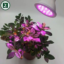 植物生长灯;PAR灯;其他灯具配件