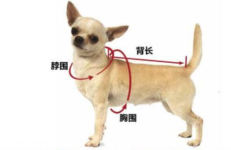 u=1503053098,167799022&fm=