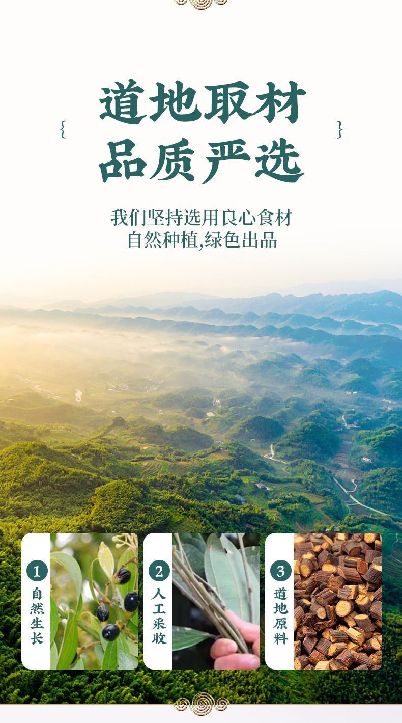 Dried Cinnamon Twig Gui Zhi 500g Herbal Decoction Slices for Traditional TCM Tea and Soup quality and texture