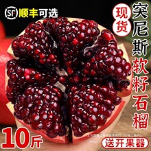 突尼斯软籽石榴10斤新鲜水果当季四川会理包邮无籽石榴大果整箱