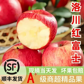 其他水果;番石榴/芭乐;哈密瓜