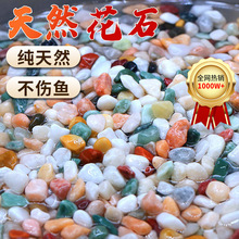 鱼缸底砂造景砂石水草铺底摆件生态天然雨花石五彩石鱼缸铺底石头