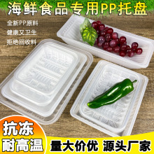一次性食品级PP生鲜托盘水果肉类海鲜托盘耐寒冷冻食品吸塑内托盘