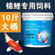 �\������~ʳ10���x�r����������ɫ���w�������~��Ͻ��~���üZʳ