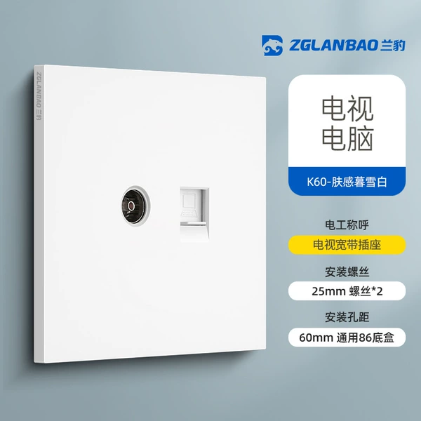 TV computer socket