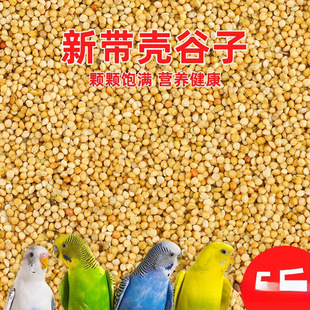 �W�^�B������B�Z���S���ӎ���С�׻�Ƥ������Pĵ���������l���l