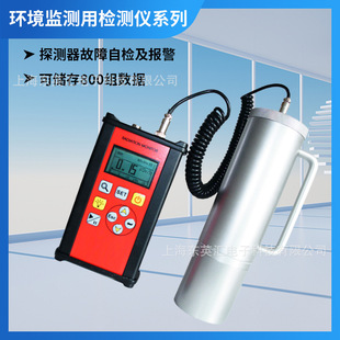 SW88E X Y radiation metering equivalent rate meter detector special detector for environmental monitoring